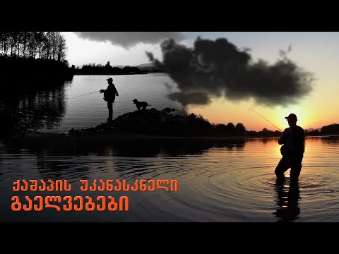 ქაშაპის უკანასკნელი გაელვებები