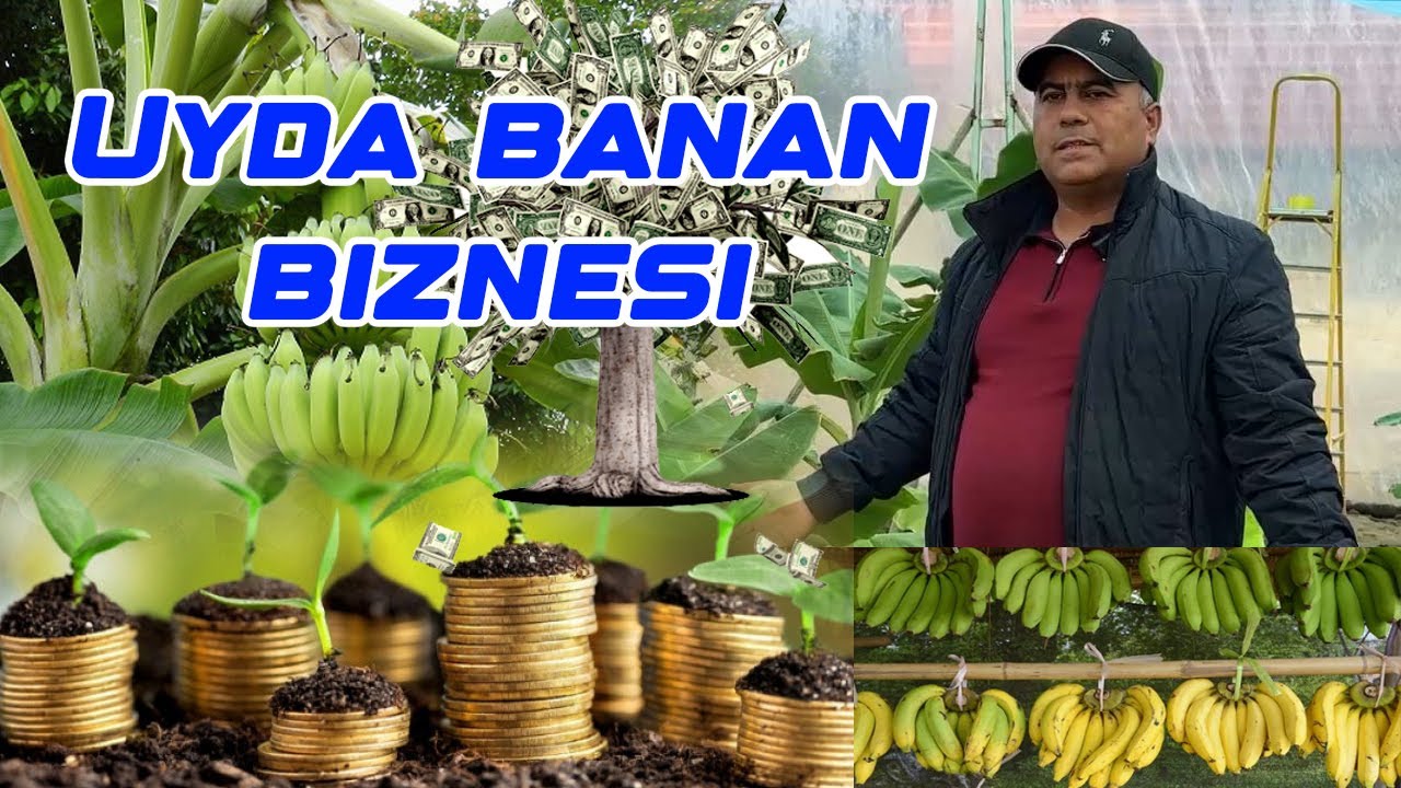 Banan bilan chayqalish video