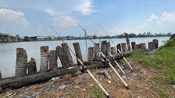 CẦU VÀM MƠN VÀ MỒI CÂU CÁ MÈ ĐƠN GIẢN