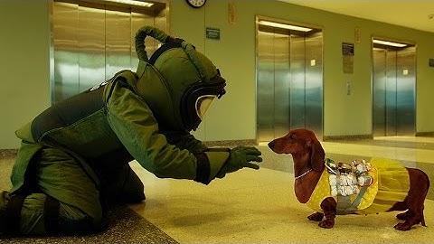 『トッド・ソロンズの子犬物語』映画オリジナル予告編