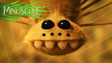 Minuscule - The butterfly effect / L