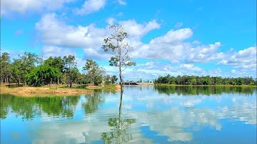 Trải Nghiệm Một Ngày Đi Câu Cá - NVH Vlogs 24/7