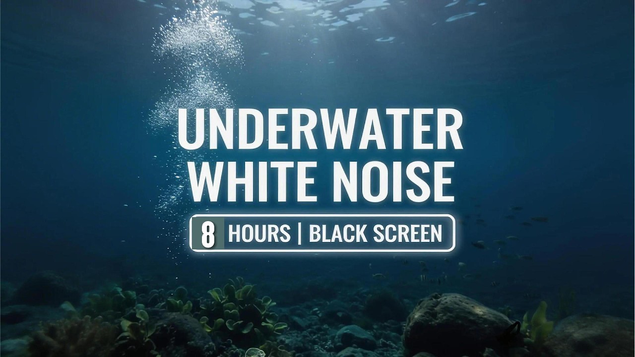 ​Underwater White Noise | 8 Hours | Black Screen for Sleeping & Relaxing