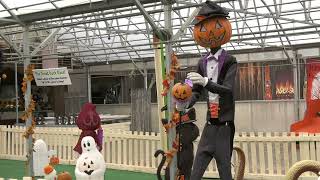 Pumpkin patches and fall traditions bring in the fall season