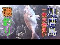 【磯釣り】加唐島の磯でイチかバチかの大物狙い!#2【カゴ釣り】