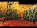 Fall Instrumental - Collective Arts