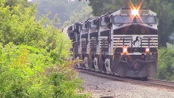 NS E49 & E51 with an UP AC44CW/NS C40-9W & E51 with 3 C40-9Ws & two ES40DCs & Horn Salute Notch 8!!!