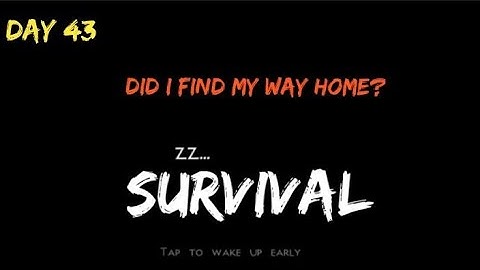 Survival day 43  End or continue  mini block craft