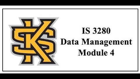 IS 3280- Data Management - Module 4