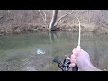 CREEK Fishing for Rainbow & Brown TROUT (LOADED with TROUT!!)