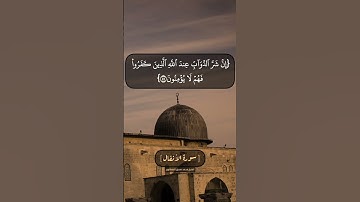 سورة الأنفال الآية ٥٤ الى ٥٦ بصوت الشيخ محمد صديق المنشاوي