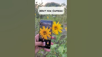 Pixel 7 Pro Camera Test | Google Pixel 7 Pro Camera Results #googlepixelxl #pixel7pro