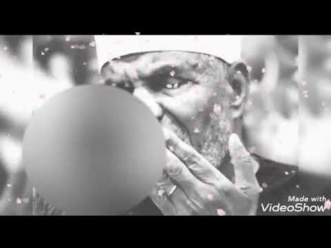 دعاء الشيخ الشعراوي