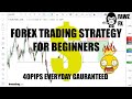 FOREX TRADING STRATEGY FOR BEGINNERS 40+PIPS A DAY - YouTube