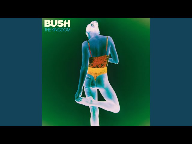 Bush - Blood River