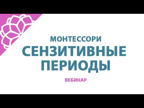 Сензитивные периоды развития детей. Монтессори вебинар