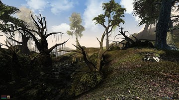 Morrowind - Seyda Neen immersive walk - 2020, 1440p, OpenMW, normal maps, Vtastek Shaders