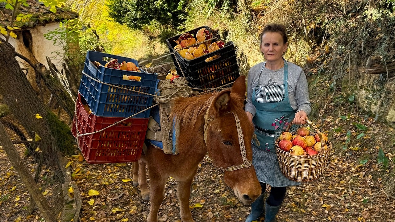 This Pomegranate Juice Will Blow Your Mind! ❤️💣 – Sweet, Tangy, PERFECT!