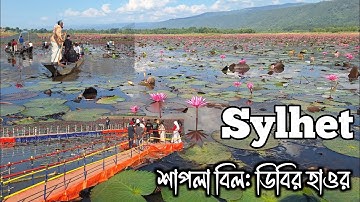 ডিবির হাওর সিলেট | Best Tourist Spot in Sylhet | Sylhet tour 2025