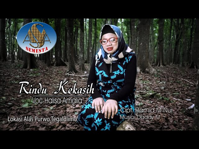 HALISA AMALIA -  RINDU KEKASIH | Dangdut Romantis 2020 (Official Music Video) class=