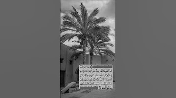 تلاوة لـ عبدالعزيز الغويري - رحمه الله -