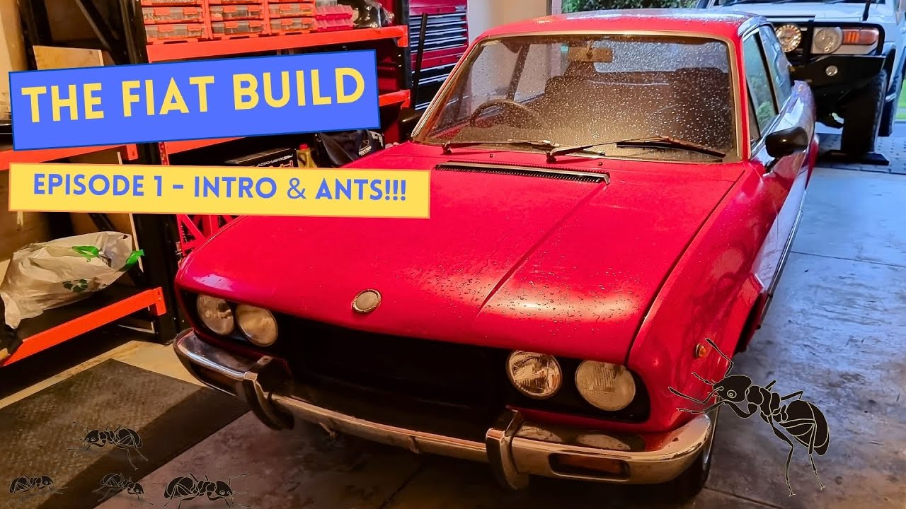 The Fiat 124 Build : Episode 1 - Intro & Ants!
