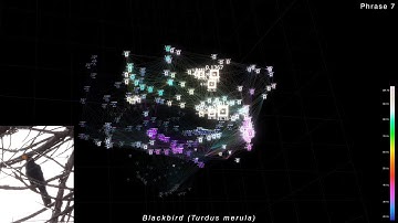 Tridimensional Visualization of a Blackbird Song