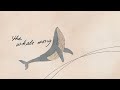 A Poem for Europa by U.S. Poet Laureate Ada Limón
