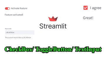 How to make Check Box | Toggle Button | Text Input in streamlit | Web development