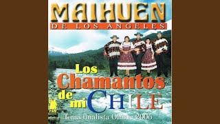 Video thumbnail of "Maihuen de los Angeles - Caminando por las Aguas"