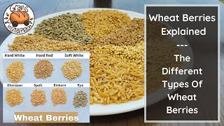 MASTERCLASS: The Wheat Berry Explained | The Different Types Of Wheat Berries