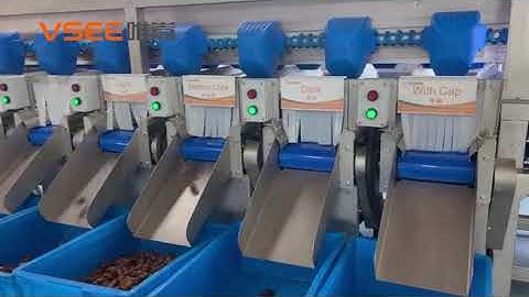 dates Jujube Sorting Machine dates Jujube Sizer