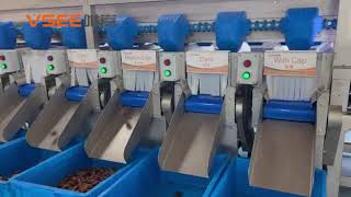 dates Jujube Sorting Machine dates Jujube Sizer Profile