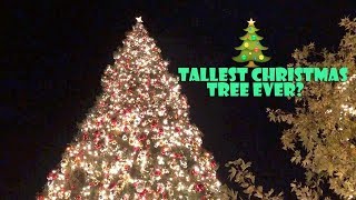 Tallest Christmas Tree Ever? 🎄 (WK 363.6) | Bratayley