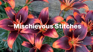 Flosstube - Enjoying My Stitches