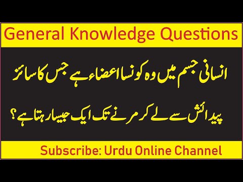 general-knowledge-questions-and-answers-in-urdu-|-gk-in-hindi-|