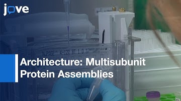 Chemical Cross-linking & Mass Spectrometry: Intact Protein Complexes l Protocol Preview