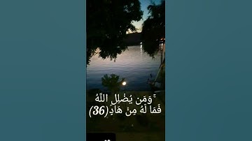 الشيخ إسلام جمعة تلاوة خاشعة هادئة تريح القلب.. أَلَيْسَ اللَّهُ بِكَافٍ عَبْدَهُ✨🖤