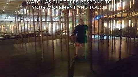 DXH602 Concept Movement Video