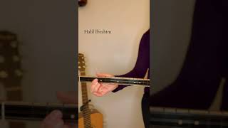 Musa Eroğlu | Halil İbrahim Türküler (bağlama saz solfej) #musaeroğlu #halilibrahim