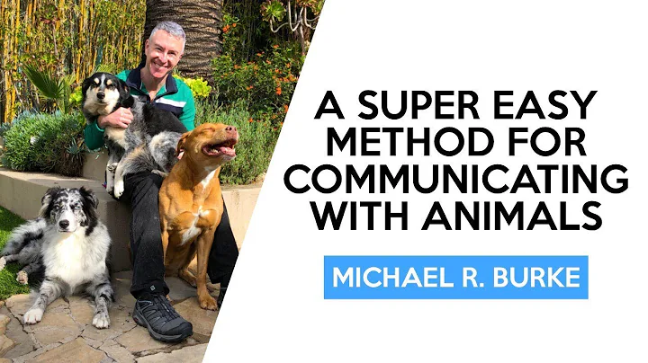 Hayvanlarla İletişim Kurmanın Süper Kolay Bir Yöntemi
