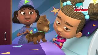 Chin Up, Pups Music Video Puppy Dog Pals Disney Junior
