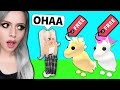 BEDAVA UNİCORN PET ALMAK !? LEGENDARY PET VERDİM !! ( Roblox Adopt Me )