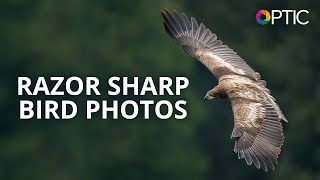 Matt Kloskowski: Fast Action, Razor Sharp Bird Photography | #BHOPTIC screenshot 4