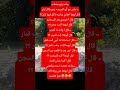 واحد راح يخطب جلس مع أبو العروسه وهو ياكل لبان قال أبوها هاذي مناسبه تاكل فيها لبان ضحك تحشيش واحد راح يخطب جلس مع أبو العروسه وهو ياكل لبان قال أبوها هاذي مناسبه تاكل فيها لبان ضحك تحشيش