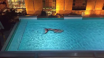 Mermaid Melissa swims in a beautiful rooftop pool