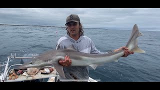 Chasing Offshore Gummy Sharks in Bass Strait! Surprise School sharks and a visit from a Mako!