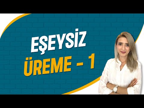 Eşeysiz Üreme -1 | Seda Hoca Biyoloji ( 27. Ders ) #sedahocabiyoloji #tyt2023