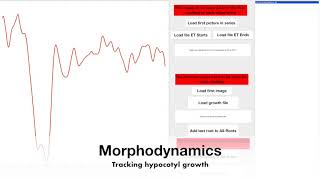 Famous Morphodynamics Video 1 Wealth