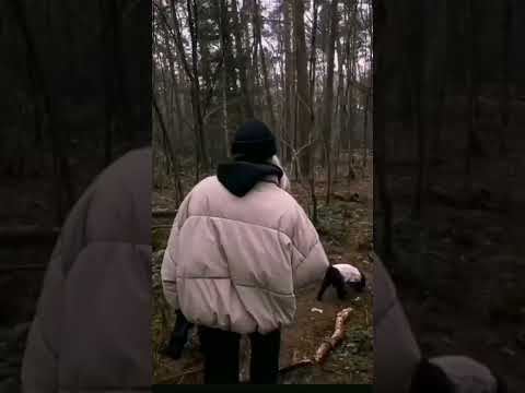 احبكم لايك تعليق اذا ممكن محهه